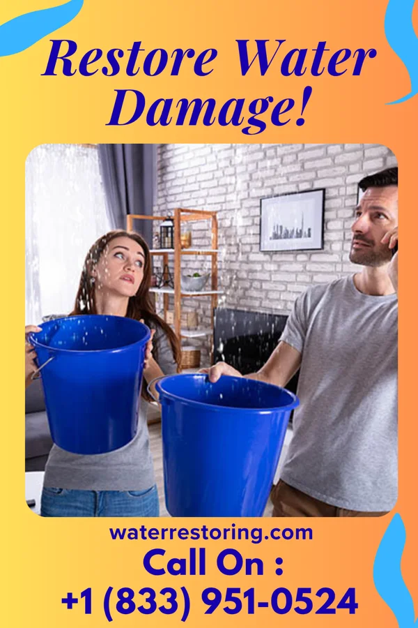 water restoration Atlas Extraction Services Orland Colony