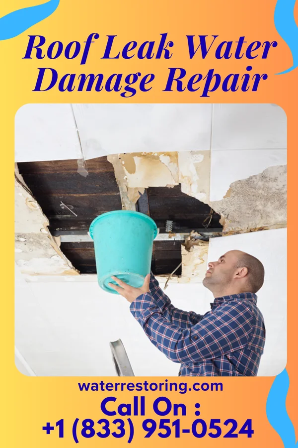 Roof Leak Water Damage Repair in Orland Colony, SD